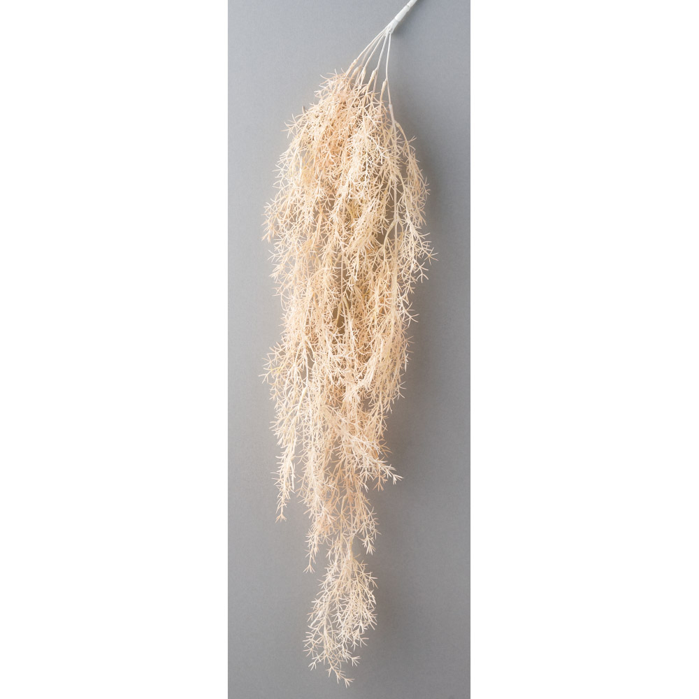 A-44131 アスパラガスファーンハンギングブッシュ