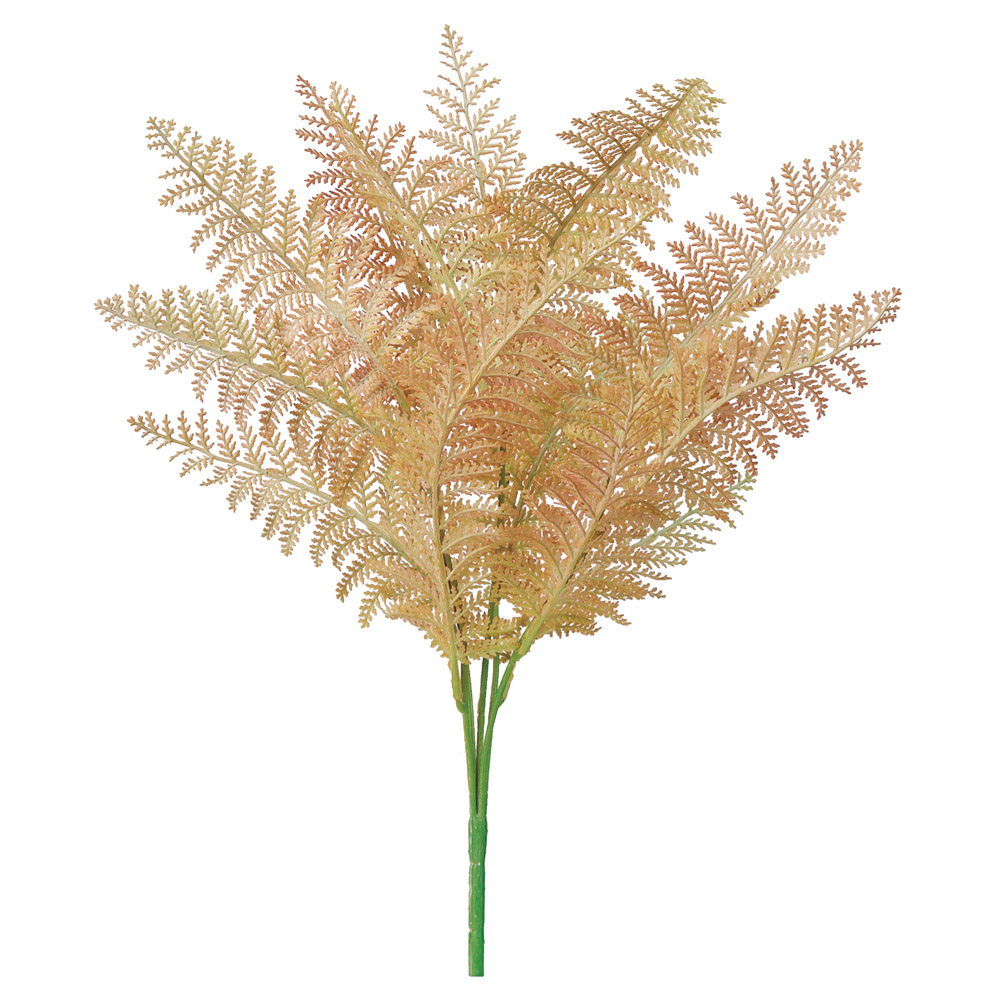 A-44175 ファーンブッシュ