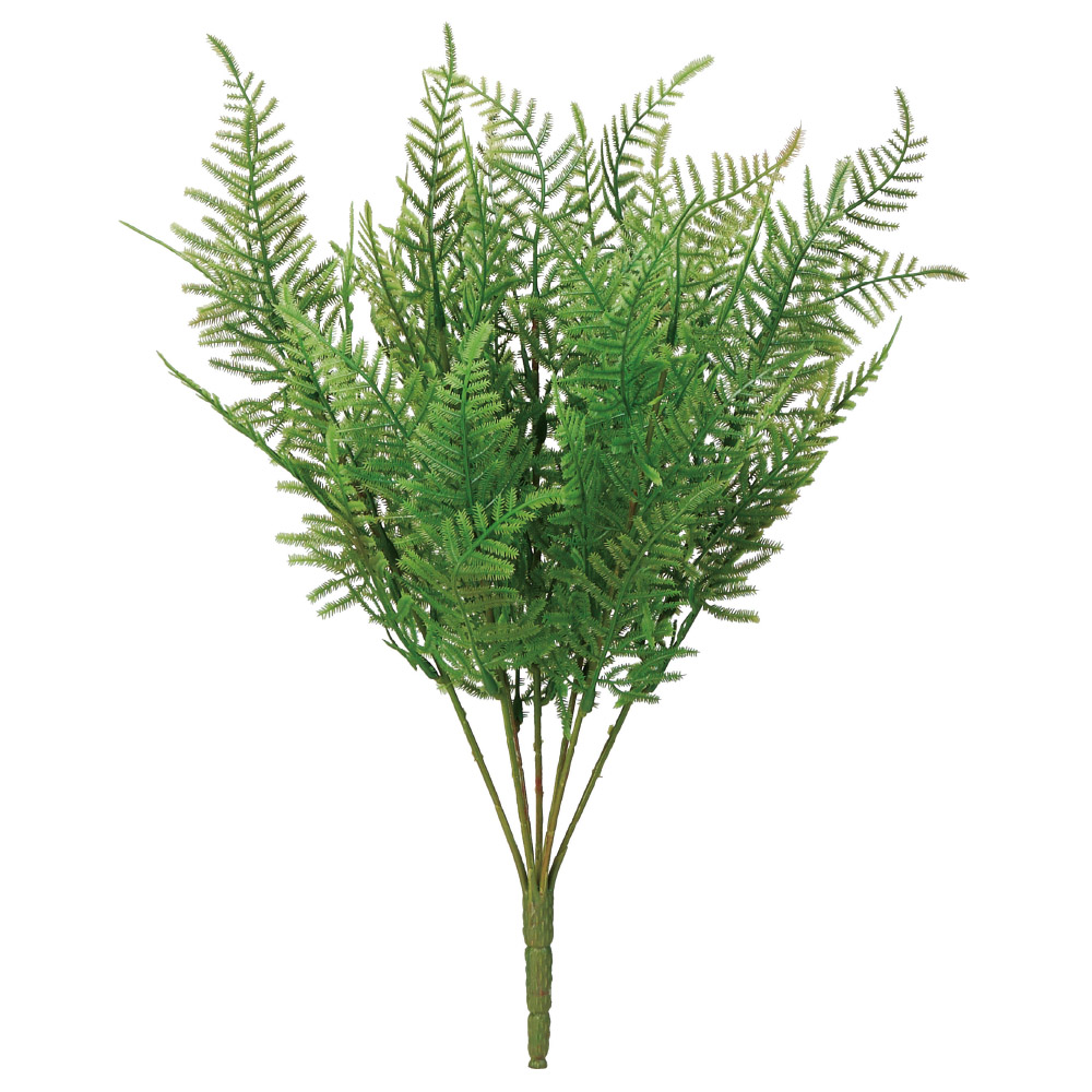 A-44177 ファーンブッシュ