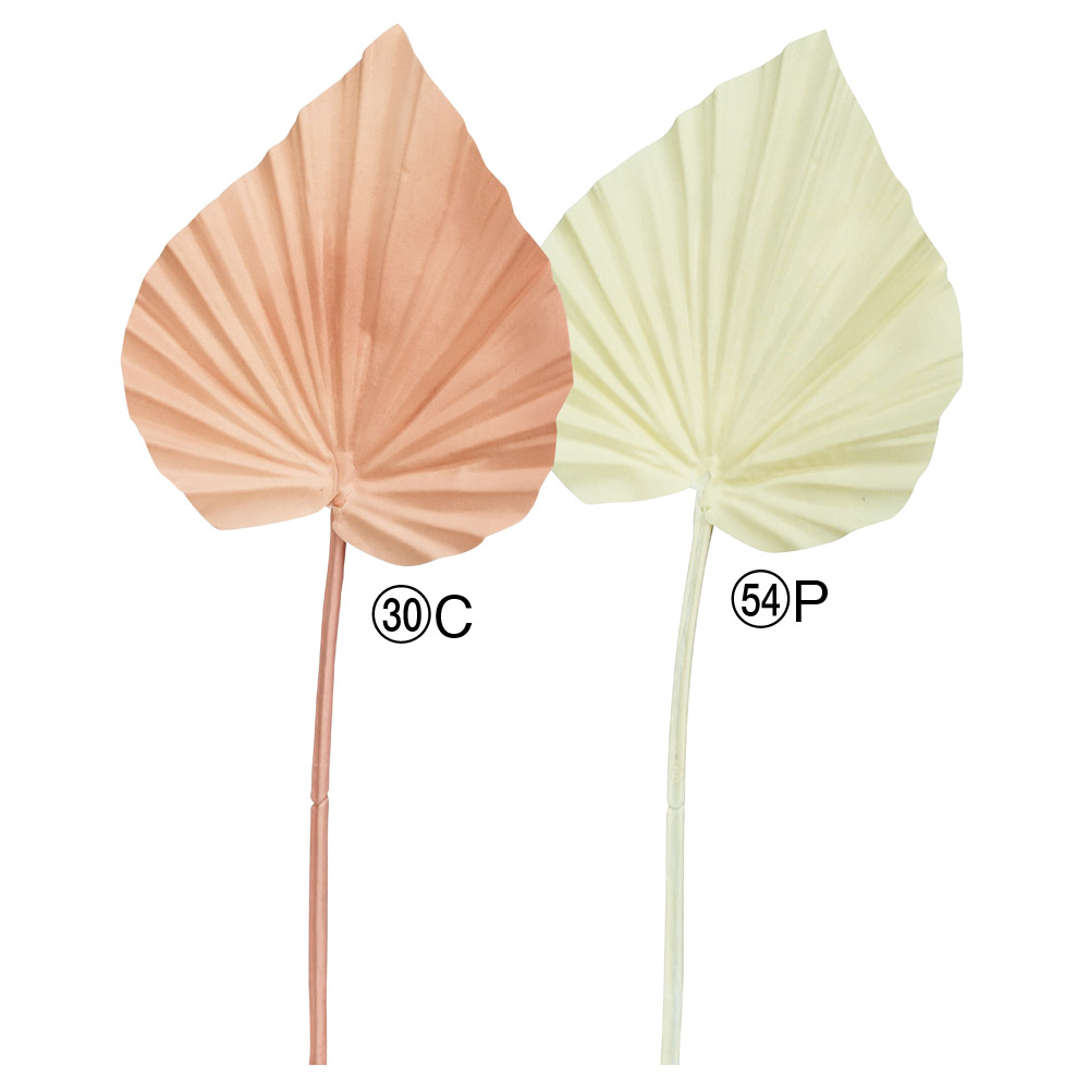 A-44224 パームリーフ