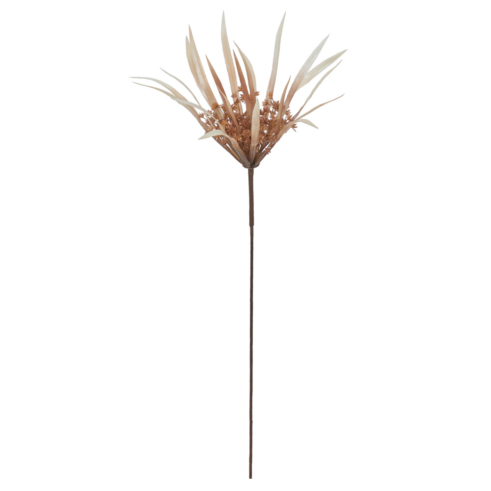 A-44266 パピルス