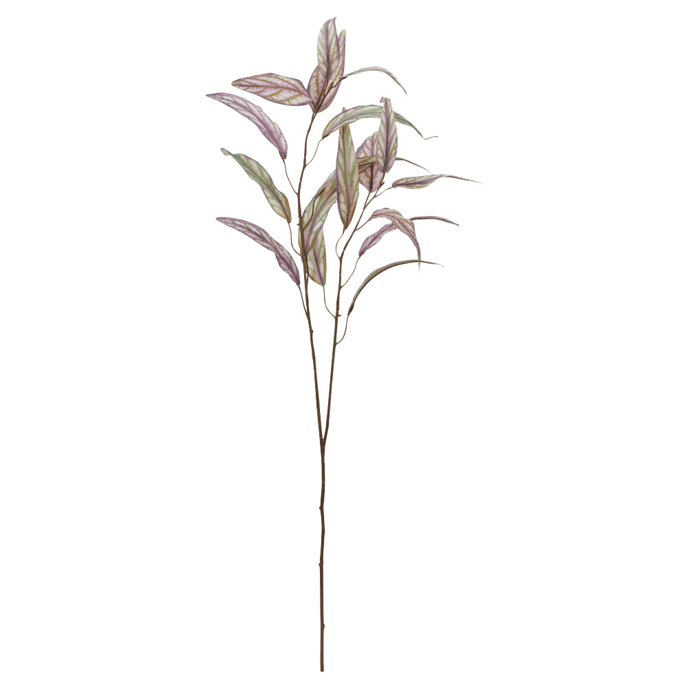 A-44294 ユーカリ