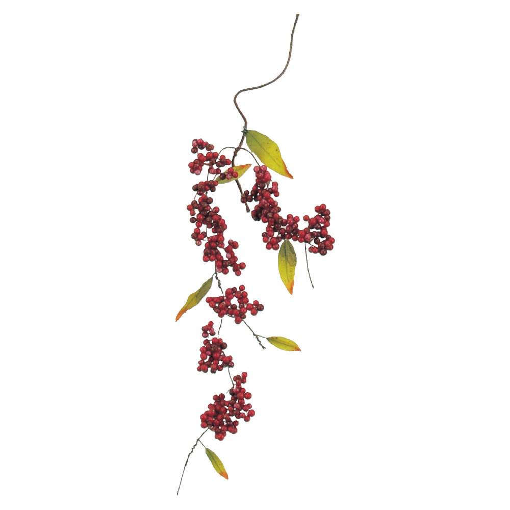 A-47489 ベリースプレー