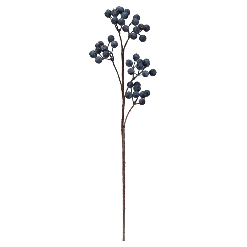 A-47917 ベリースプレー