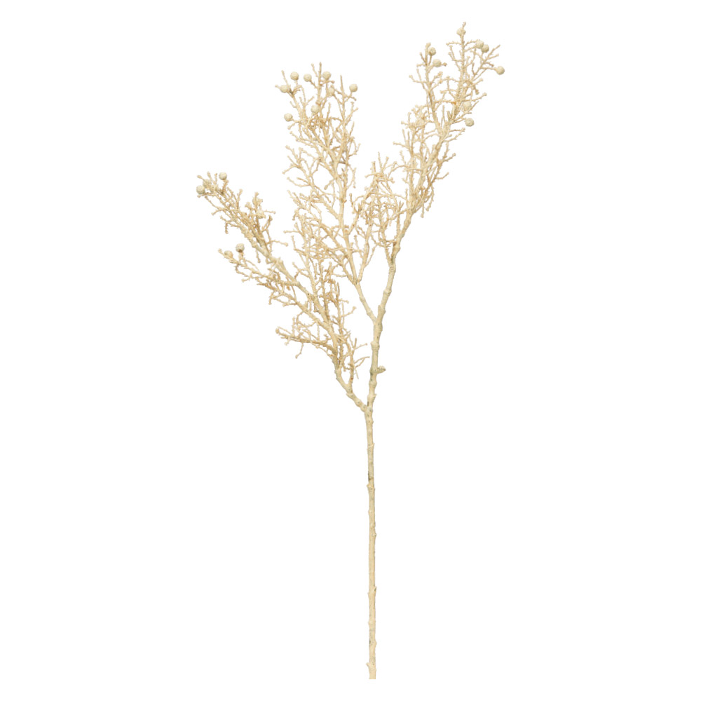 A-47929 サイプレススプレー