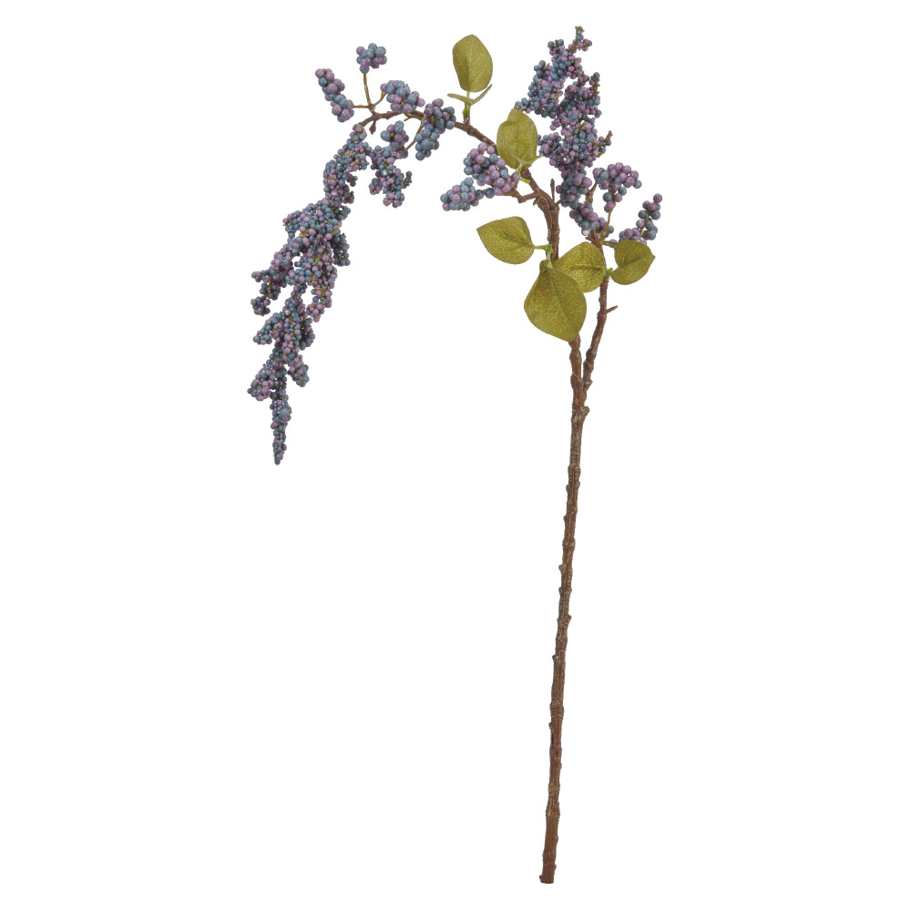 A-47934 ベリースプレー