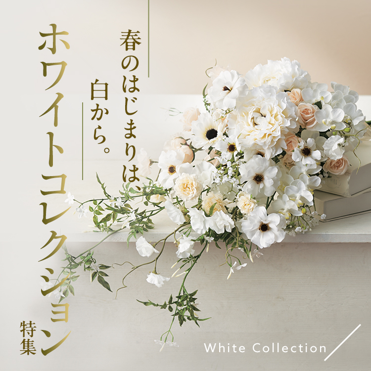 ホワイトコレクション特集