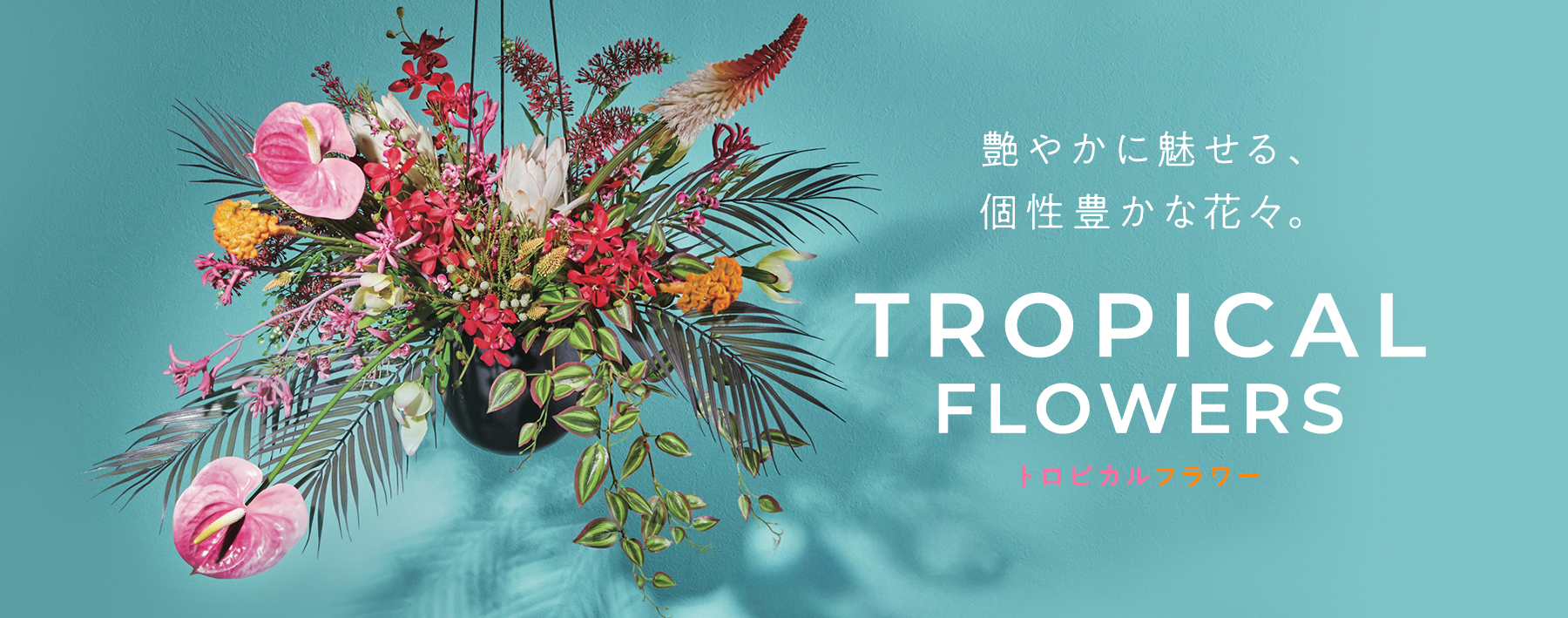 トロピカルフラワー