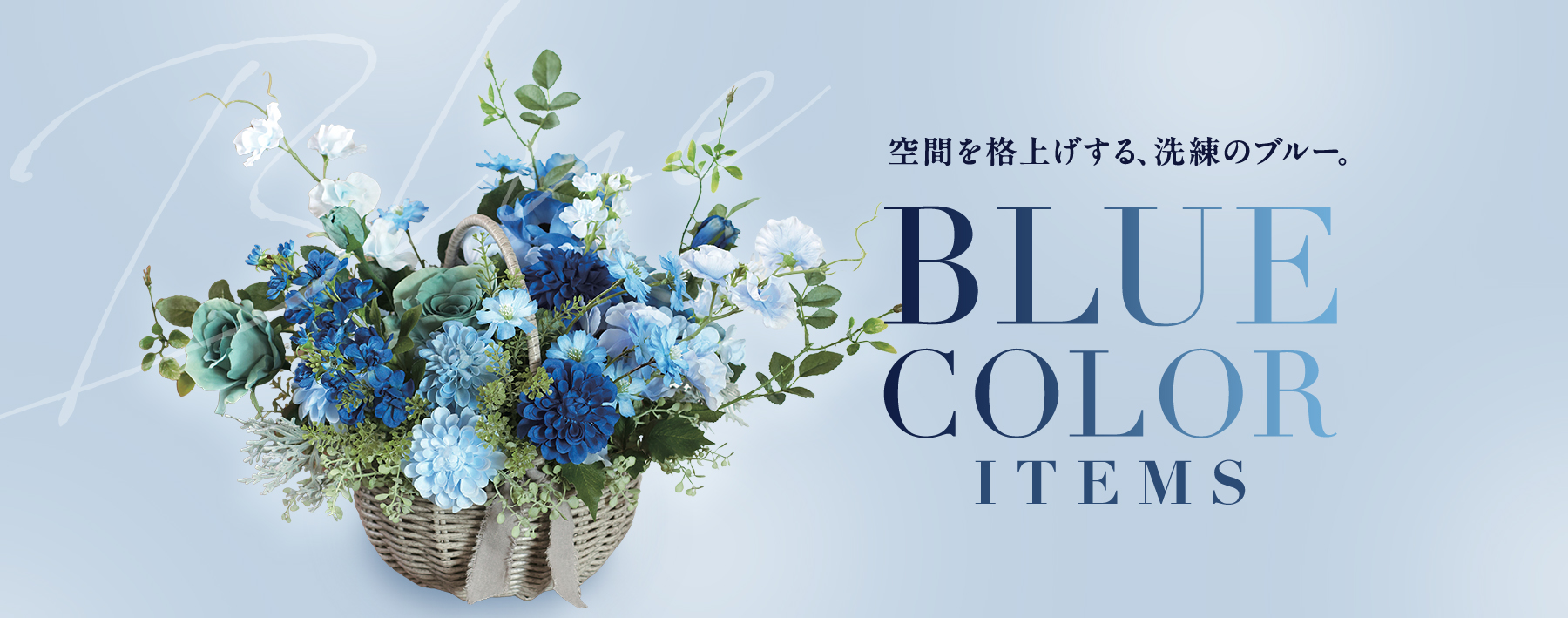 BLUE COLOR ITEMS