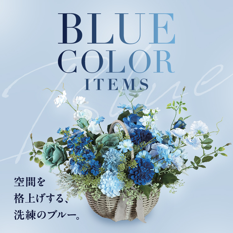 BLUE COLOR ITEMS