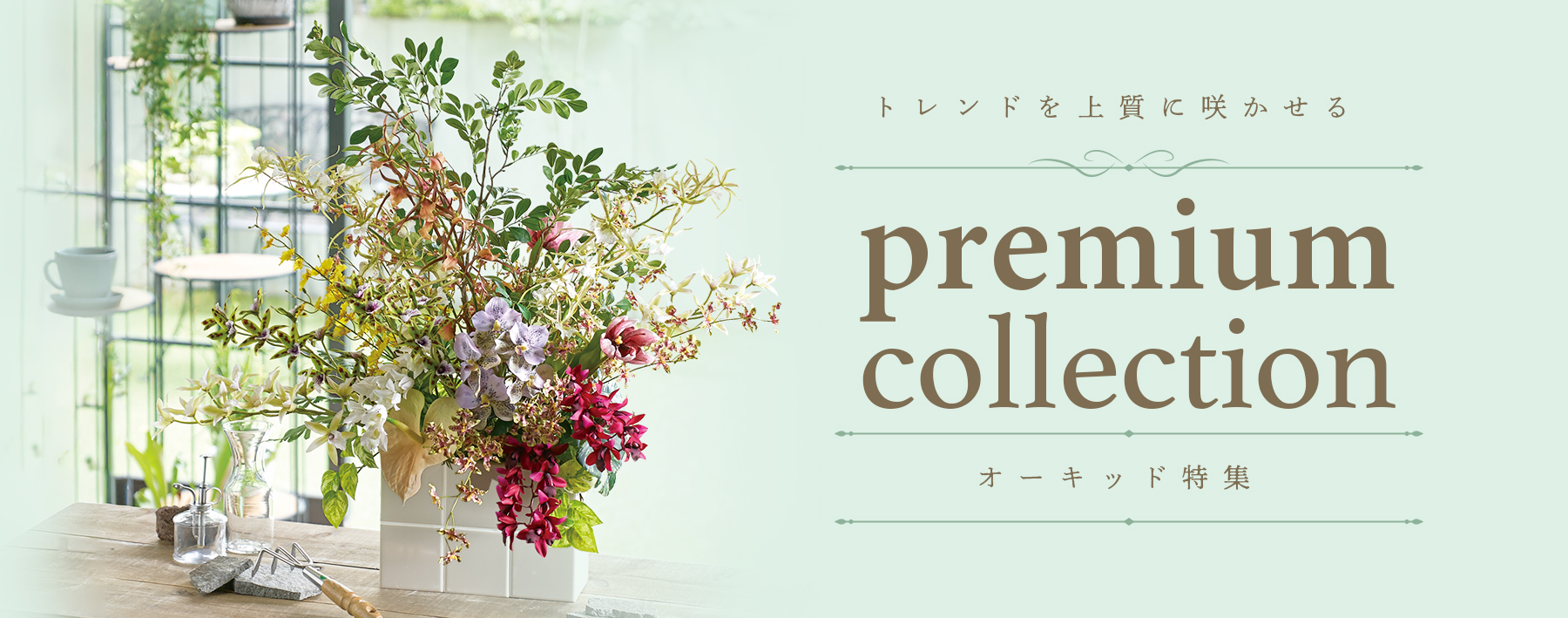 プレミアムコレクション - オーキッド特集