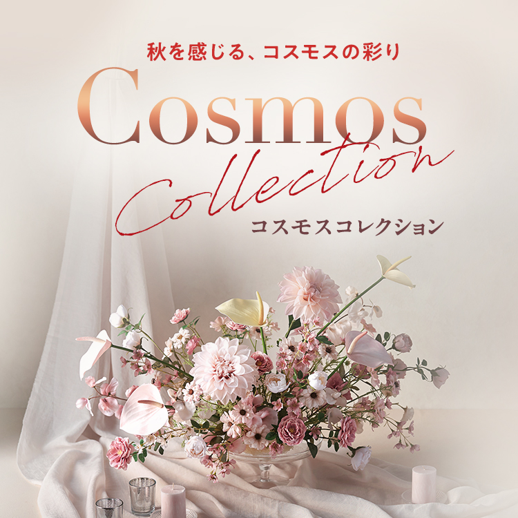 コスモスコレクション