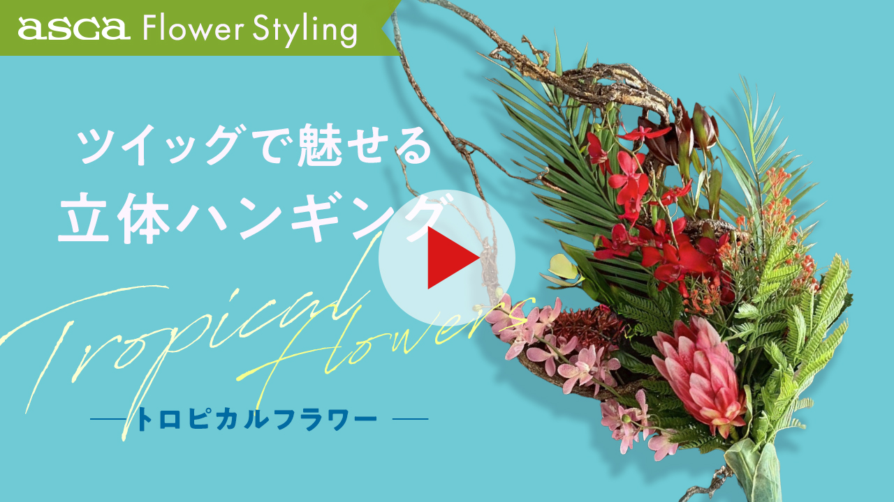 アスカ商会公式YouTubeチャンネル