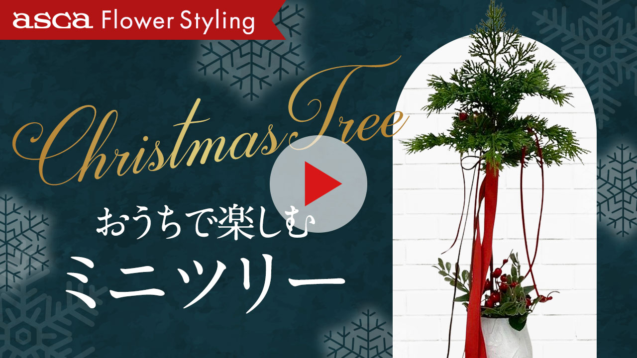 クリスマスツリー